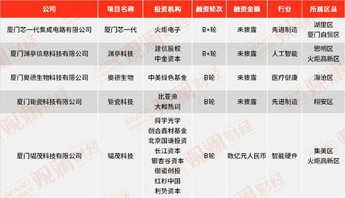 2023上半年廈門創業企業投融資盤點 工業互聯網與數據服務引領風潮，產業集中度顯著提升