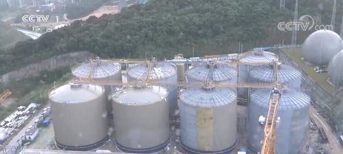 踐行低碳環(huán)保發(fā)展理念 綠色發(fā)展助力中國(guó)經(jīng)濟(jì)轉(zhuǎn)型升級(jí)